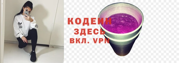 apvp Алзамай