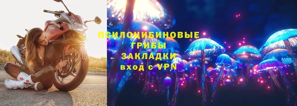 apvp Алзамай