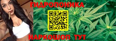 гашишное масло Пугачёв