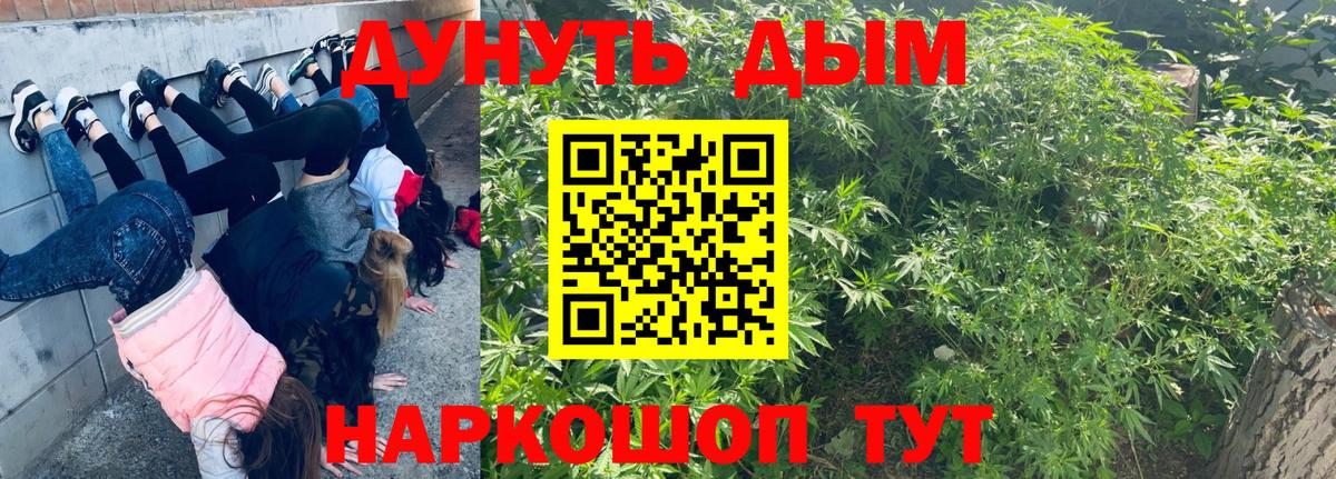 Бошки Шишки тримм Ставрополь